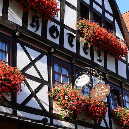 Hotel Zum Braunen Hirschen Bad Driburg Exterior foto